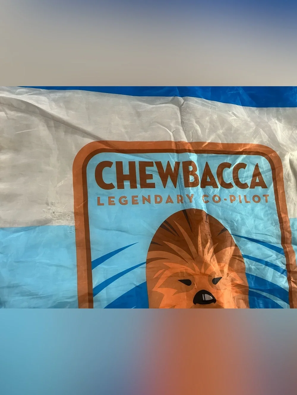 Disney Star Wars Chewbacca kids' sleeping bag set from 2016